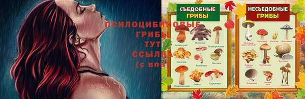 кокаин Абаза